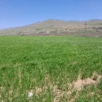 فروش زمین زراعی آبی