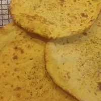 شاطر تنور گازی