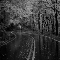 نیروی خدماتی و راننده هستم