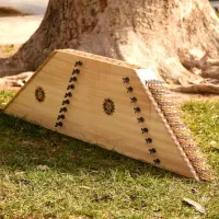 کوک و رگلاژ تخصصی سنتور در تهران(حضوری در محل)
