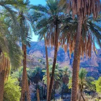 تور هیجان انگیز کول خرسون ازسمت پاقلعه