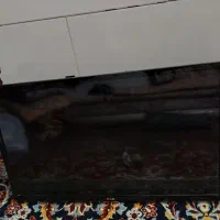 تلویزیون