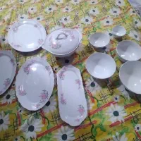 چینی گل قرمزی