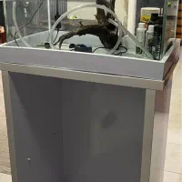 اکواریوم