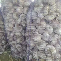 سیر دشت مغان