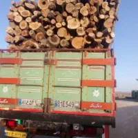 خریدچوب‌/قطع‌درخت