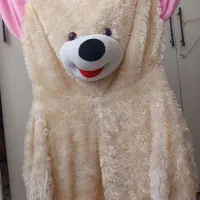 روکش عروسک