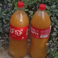 آبغوره تازه و بی نمک با طعم  عالی