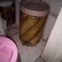 خیارشور محلی