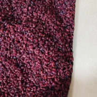 زرشک معمولی درجه ۲