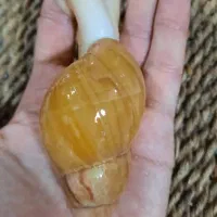 حلزون آلبینو