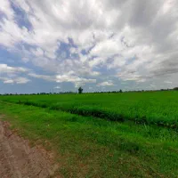 زمین مسکونی و اراضی ۱۶۰۰متر