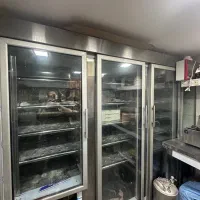 فریزر صنعتی