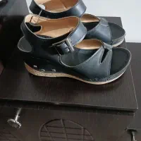 کفش کتونی و مجلسی