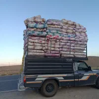 باربری‌بانیسان