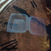 ظروف یکبار مصرف