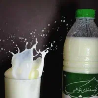 دوغ گوسفندی