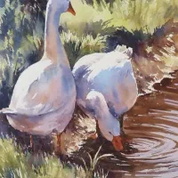 آموزش نقاشی وموسیقی با مدرک بین المللی