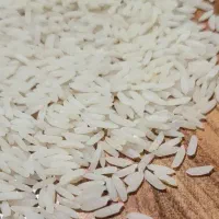فروش برنج هاشمی گیلان درجه یک(شخصی)