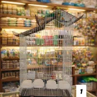 پخش انواع قفس مناسب انواع پرندگان زینتی کیفیت بالا