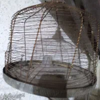 قفس طرقه