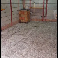 اجاره معازه مکان پررفت وآمدآریاملک