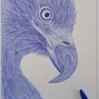 فروش عمده و خرده صنایع دستی (بافتنی و سیاه قلم )