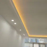 رابیس کاری