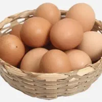 تخم مرغ محلی اصل