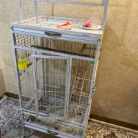 قفس بزرگ کاسکو سالم و تمیز