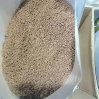 شادگان