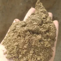 خاک باغچه کل شهر سرتا سره شهر