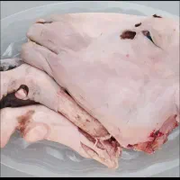 فروش عمده کله پاچه