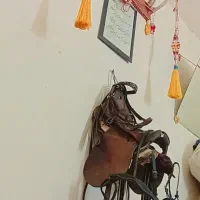 تجهیزات سوارکاری ست کامل