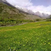 تور طبیعت‌گردی و کمپینگ شاد