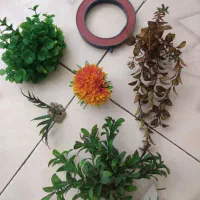 مهتابی آکواریوم با گیاه