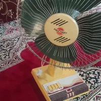 دوعدد پنکه زمینی بشرط