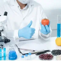 استخدام مسئول فنی