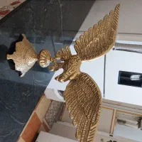 عقاب بزرگ از نک بال تا اون بال ۶۰ سانت و چهارکیلو