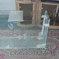 اکواریم