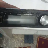 ضبط سناتور