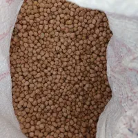 نخود کیلویی ۱۸۰
