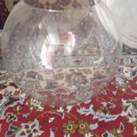 تنگ ماهی