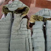 دوعدد پافر ۱سال و ۶ سال