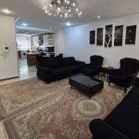 دو عدد فرش ۶ متری ماشینی پاتریس کاشان