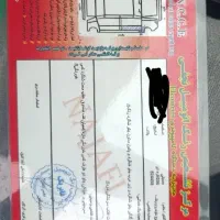 206 تیپ 2|خودرو سواری و وانت|علیآباد کتول, |دیوار