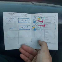 سگ ژرمن|سگ|پاکدشت, پاکدشت (مامازند)|دیوار
