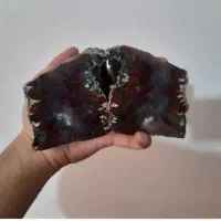 یک جفت شجر کلکسیونی با ضخامت بالا