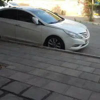 سفیدصدفی داخل کرم کفی سعبودی بیمه تا۱۲