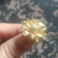 با سلام دوعدد انگشتر زیبا